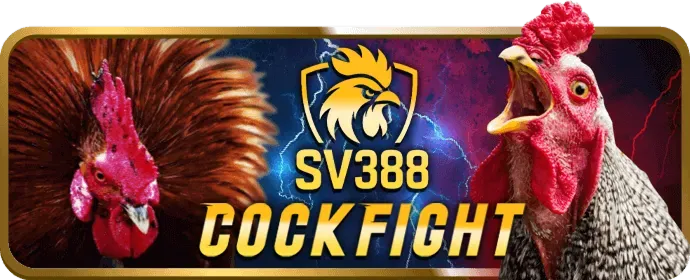 Hình ảnh người chơi đặt cược trực tiếp trên điện thoại tại Zalv Win